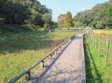 【非公開】ベルカワナ 公園