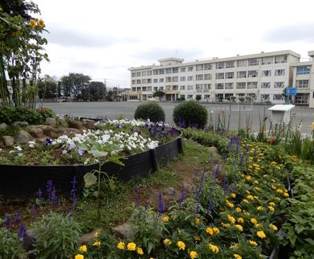 【非公開】藤沢市善行６丁目　売地 小学校