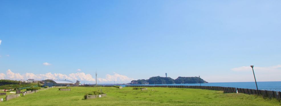 【非公開】クリオ鵠沼海岸グランロワ 公園