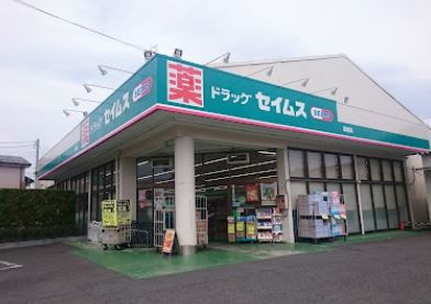 【非公開】茅ヶ崎市平太夫新田　中古戸建 ドラッグストア