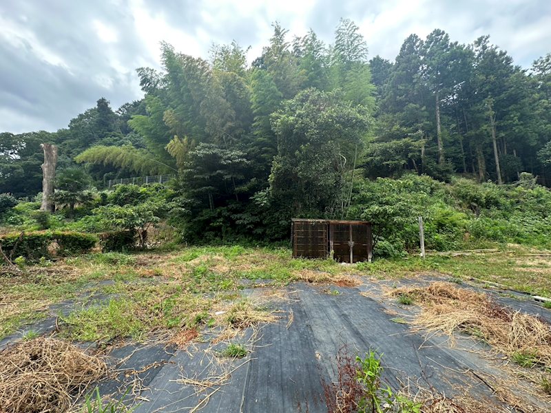 福岡県宗像市田島 現地写真