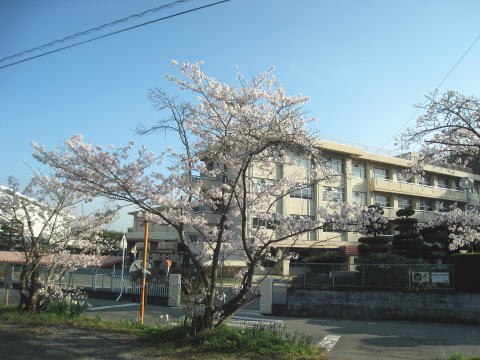 東区楢原　中古戸建 周辺画像2