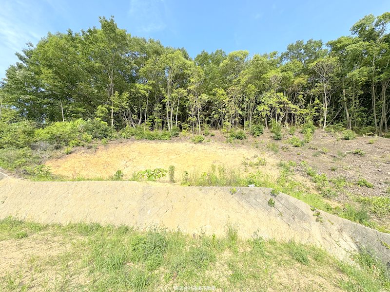 東区中川町　土地　約153坪 その他