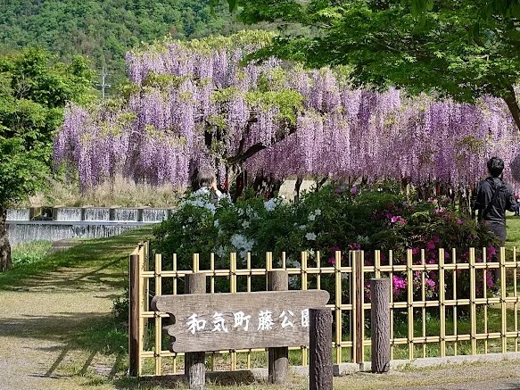 周辺画像3