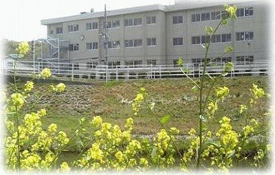 サーパス津高 305号室 周辺画像6