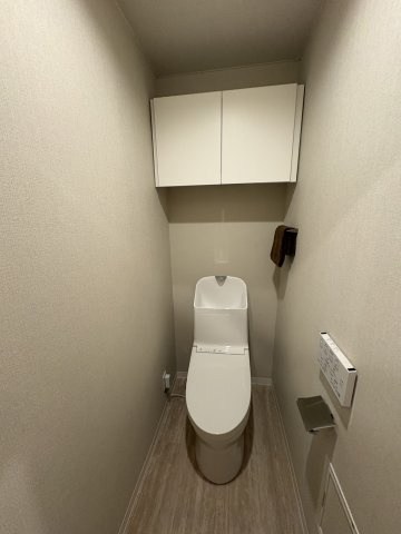 セザール岡南 その他