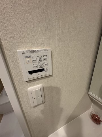 セザール岡南 その他
