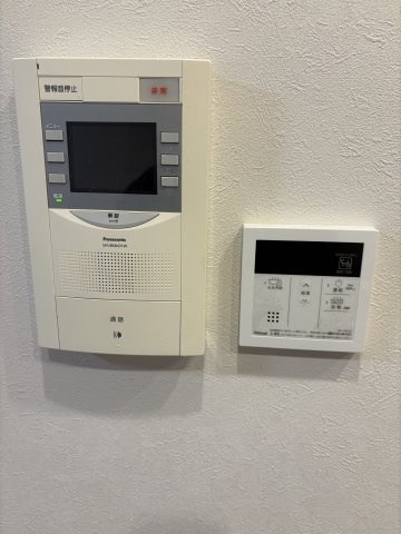 セザール岡南 その他