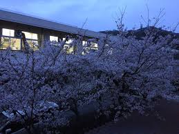 東区目黒町　リノベ住宅 周辺画像8