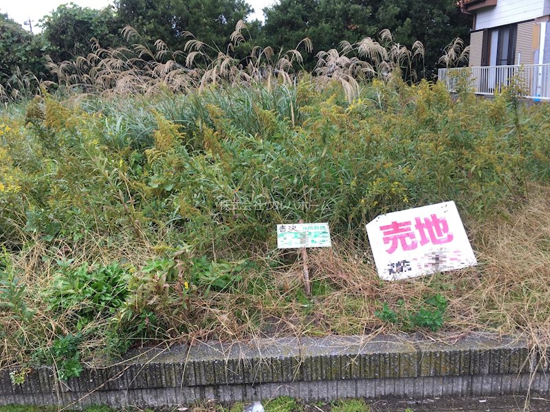 山武市松尾町　土地 現地写真