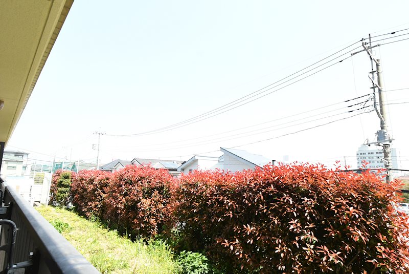 ファミール川越    眺望写真