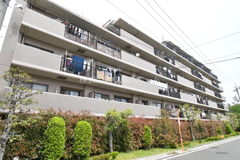 シティふじみ野  現地写真