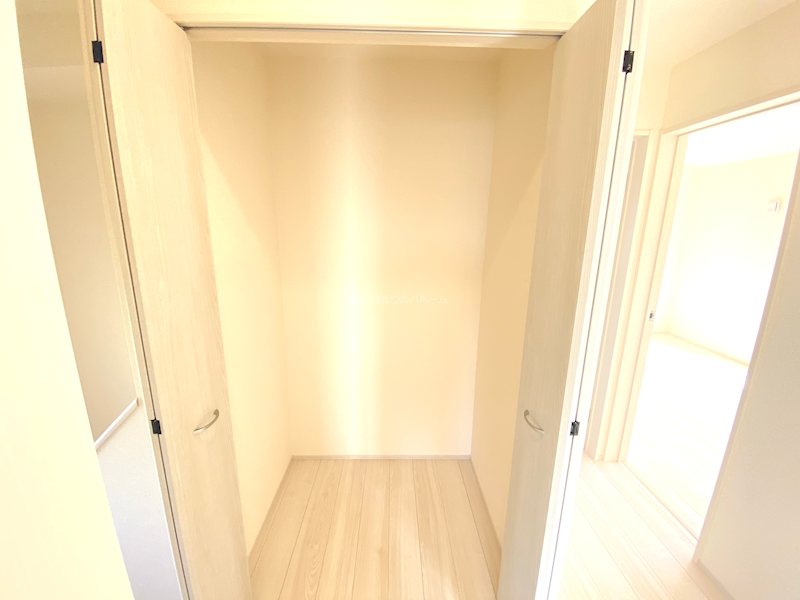 川越市今成2丁目　2号棟        内観写真（収納）