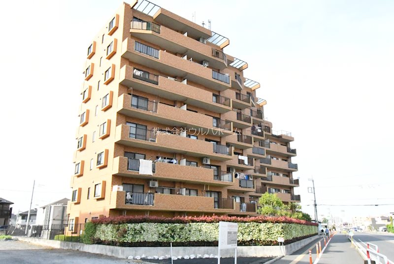 ダイアパレス若葉弐番館    現地写真