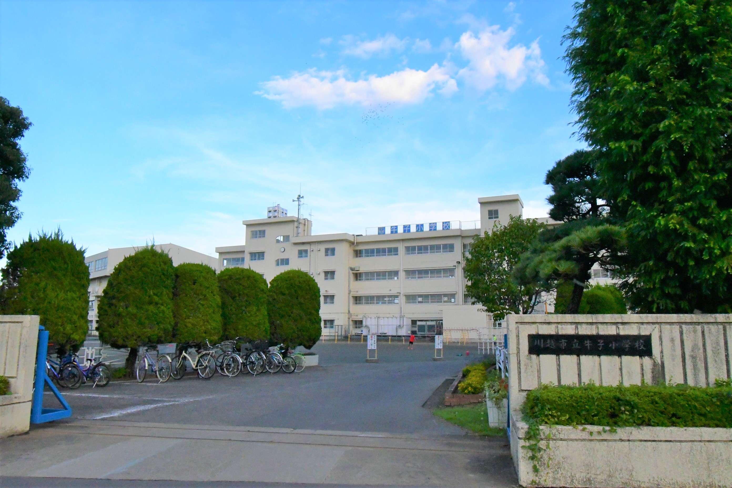 川越市木野目1861番　A号棟  小学校