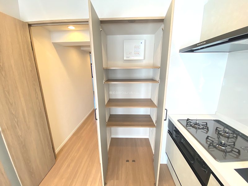 シーアイマンション狭山   内観写真（収納）