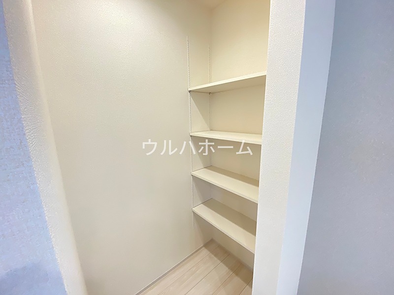 川越市岸町2丁目  内観写真（収納）