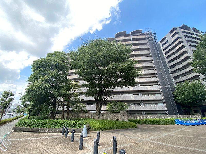 アイムふじみ野西三番館    現地写真