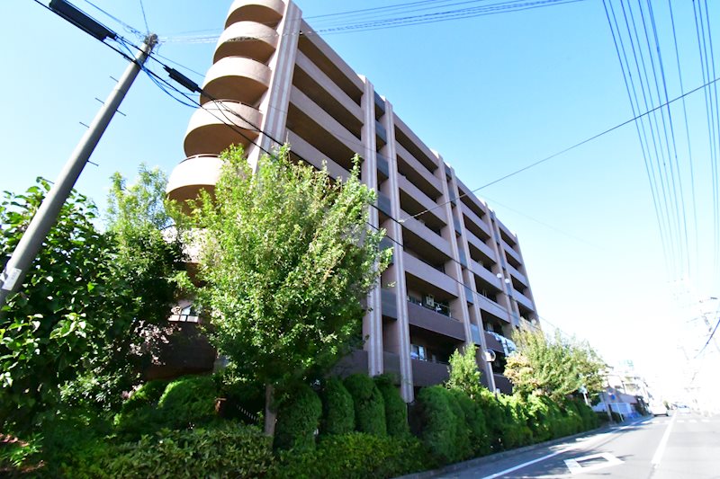 レクセルマンション若葉第2  現地写真