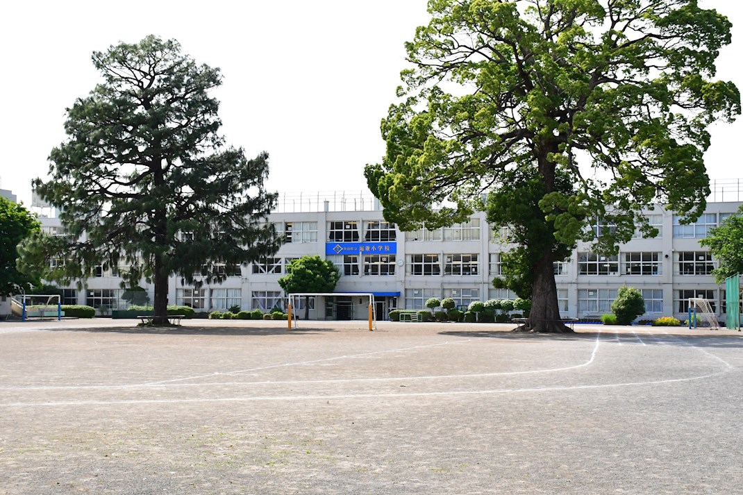シャルマンコーポ狭山   小学校