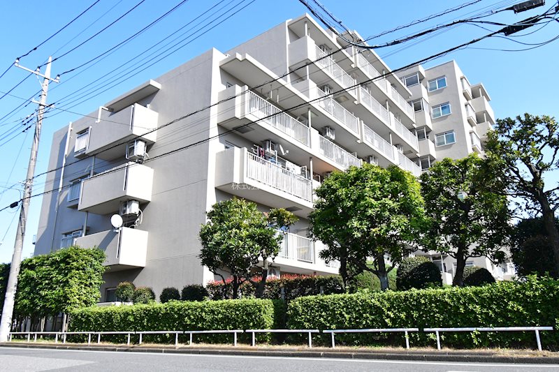 若葉グリーンプラザ弐番館   現地写真