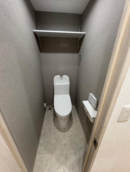 ダイアパレス坂戸　 内観写真（トイレ）