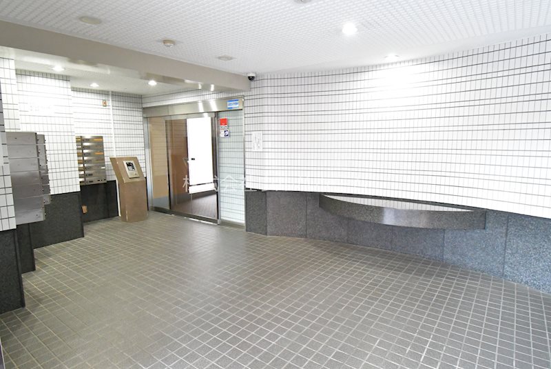 ダイアパレス坂戸　 共用部写真（エントランス）