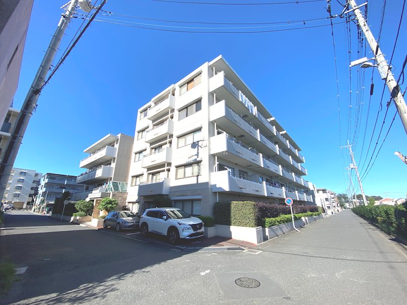 マートルコートふじみ野   現地写真