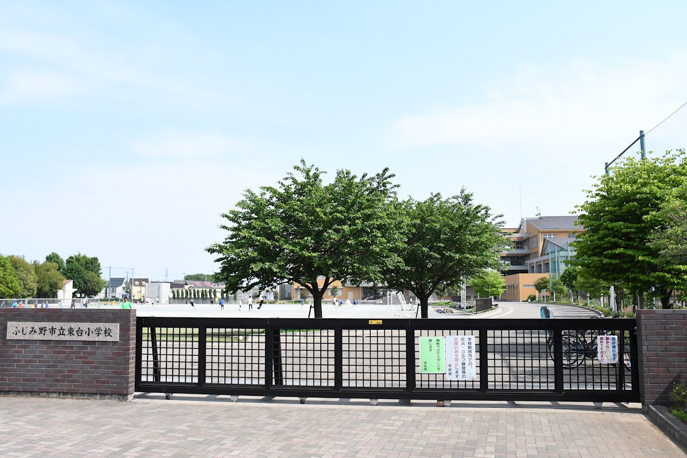 コスモふじみ野イーストフォーラム   小学校