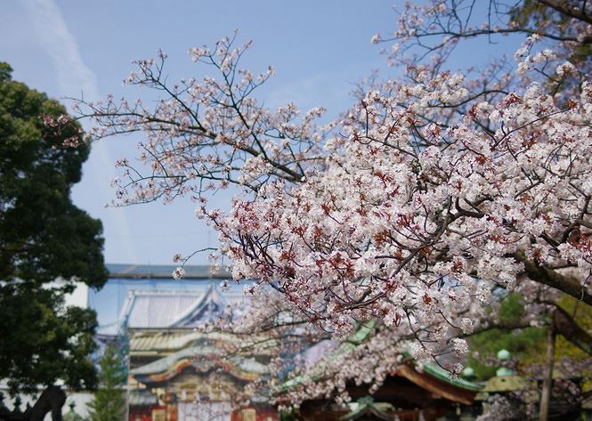 藤和シティホームズ根津 公園