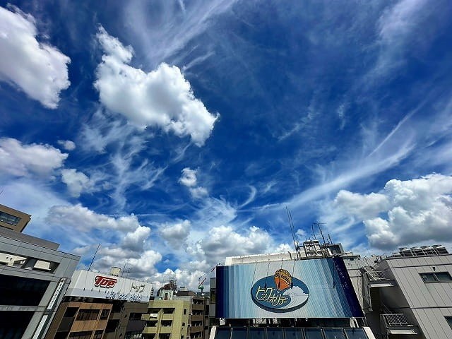 ＣＯＮＯＥ本郷三丁目 眺望写真