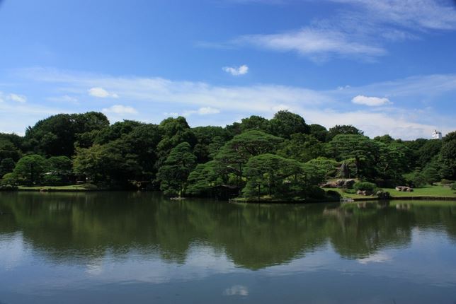 シティハウス文京本駒込 公園