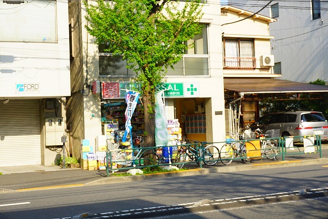 シティハウス文京本駒込 ドラッグストア