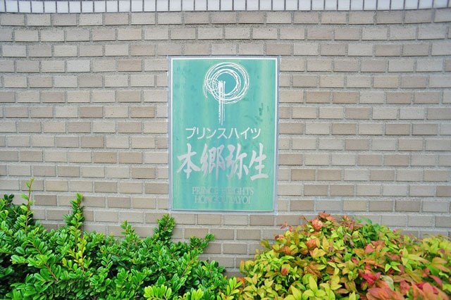 【会員限定】プリンスハイツ本郷弥生 現地写真（その他）