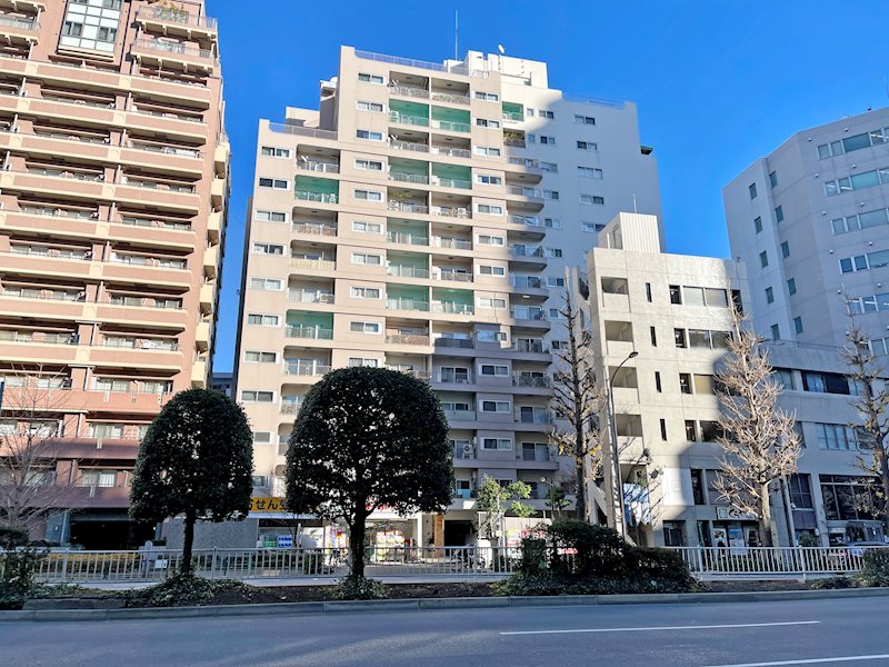 シャトー文京 現地写真