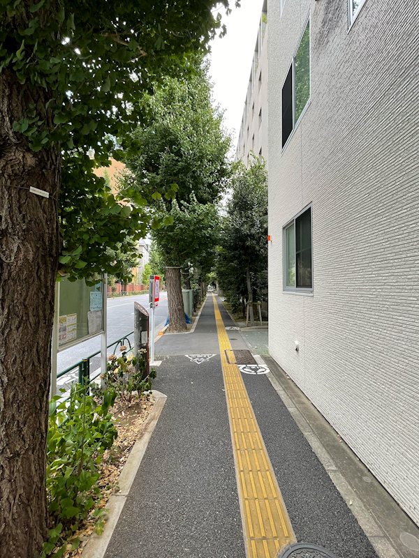 文京区目白台1丁目　中古戸建 現地写真（前面道路含む現地写真）
