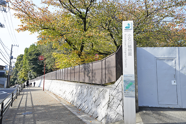 マイキャッスル小石川 公園