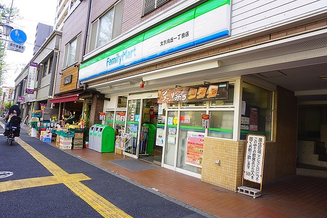 ナイスアーバン文京向丘 コンビニ