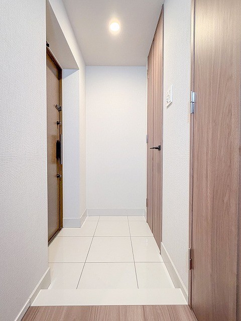 プレシスヴィアラ田端 現地写真（玄関）