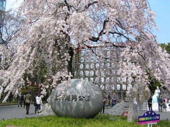 シーアイマンション根津宮永 公園