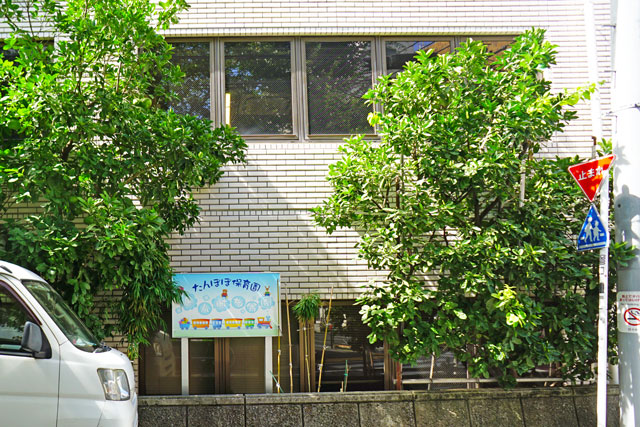 グランリビオ・ザ・レジデンス 幼稚園