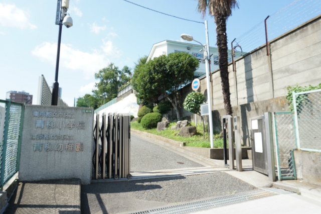 東急ドエル・プレステージ目白台 小学校