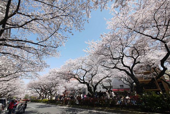 ヴェラハイツ小石川 公園