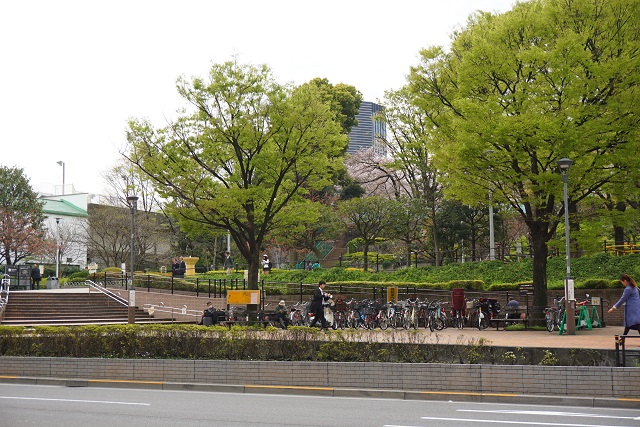 小石川アインス 公園