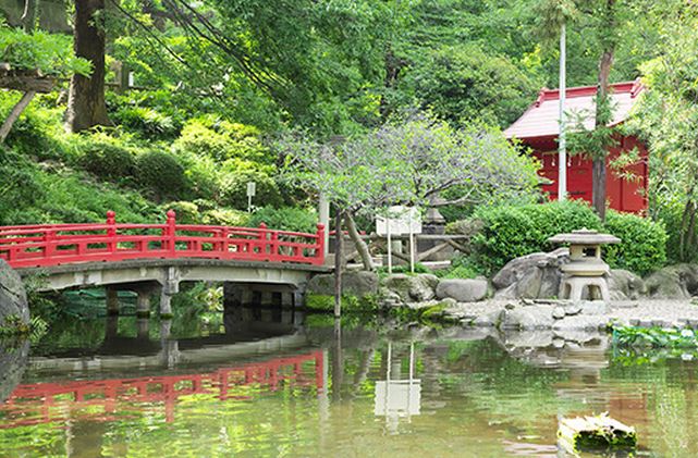 パークホームズ文京白山ヒルテラス 公園