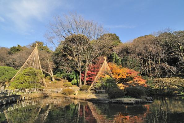 オープンレジデンシア目白台ヒルトップ 公園