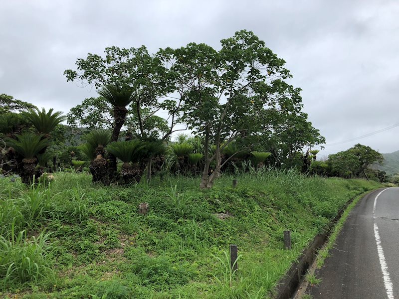 和野売地　1,430万円→1,284万円 現地写真