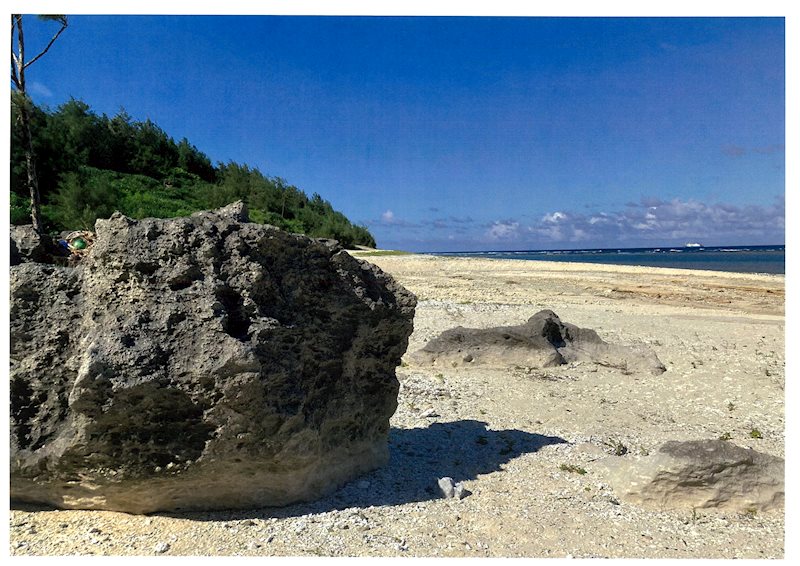 【徳之島】伊仙町　喜念リゾート その他