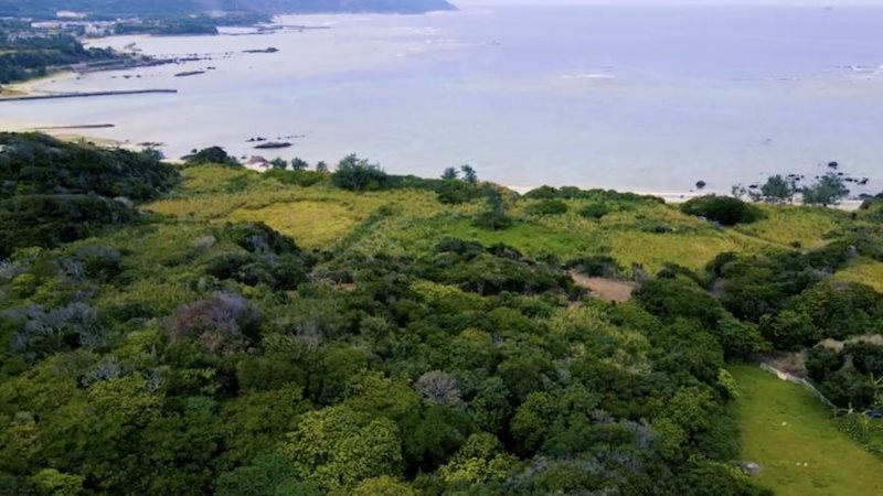 笠利町須野売地 その他