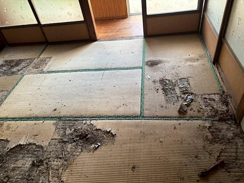 【古屋付土地】笠利町用安 その他